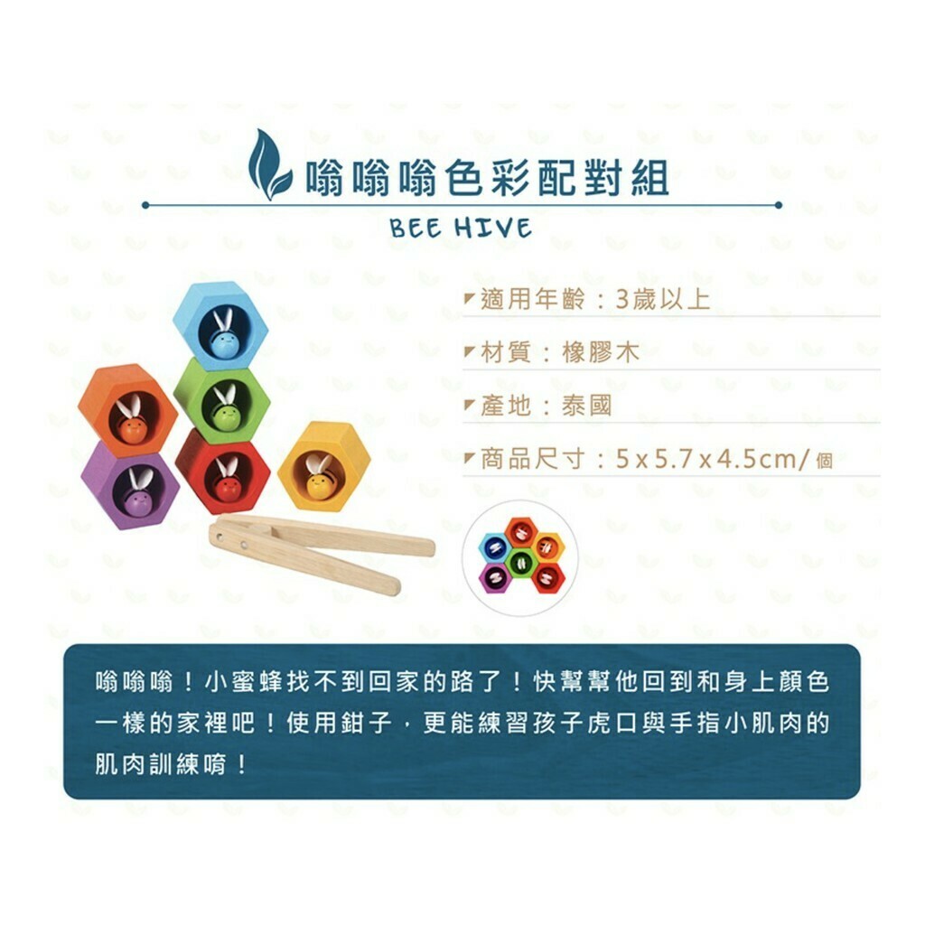 【樂森藥局】泰國 Plantoys 原木感統系列 嗡嗡嗡色彩配對組 3歲以上 橡木 環保木製安全玩具 桌遊