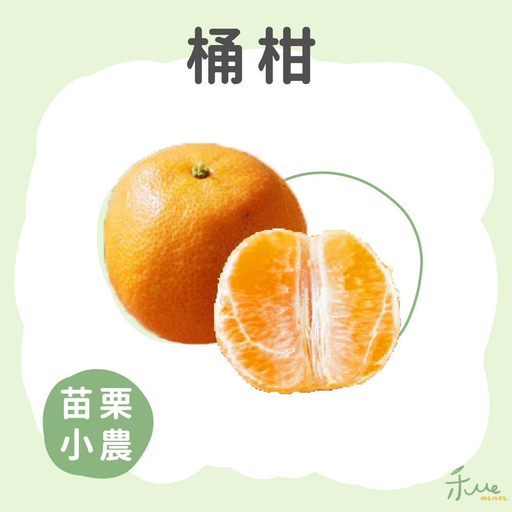 【苗栗】無籽桶柑(不挑規)