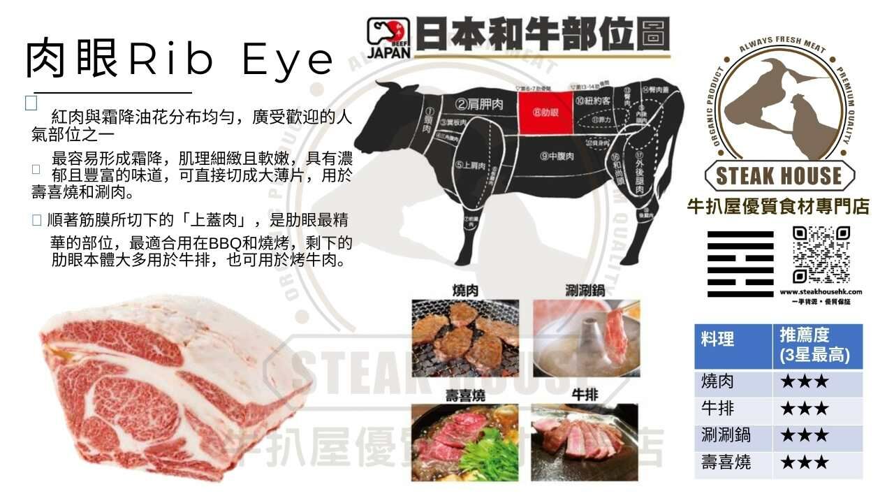 肉眼-ribeye-日本和牛部位圖-燒肉-牛扒-涮涮鍋-壽喜燒