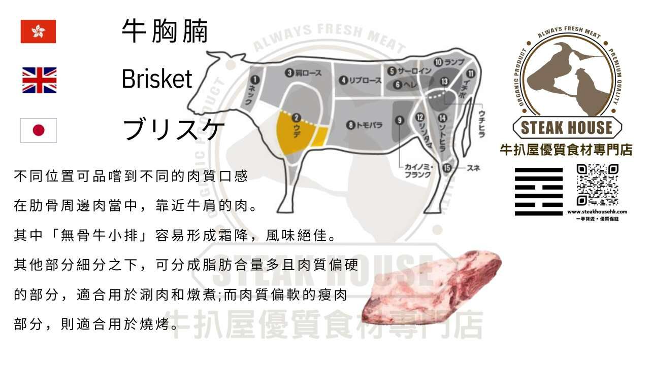 牛胸腩-brisket-日本和牛部位圖-燒肉-牛扒-牛排-涮涮鍋-燉肉