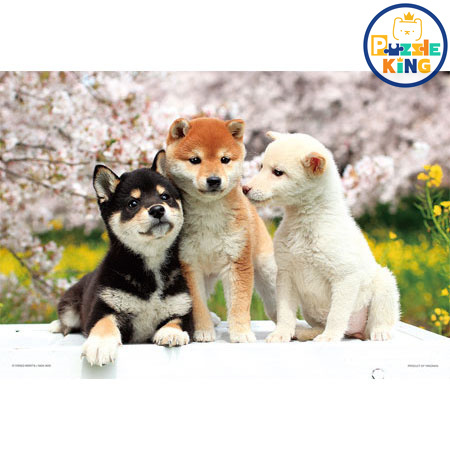 柴犬-Nakayoshi Friends