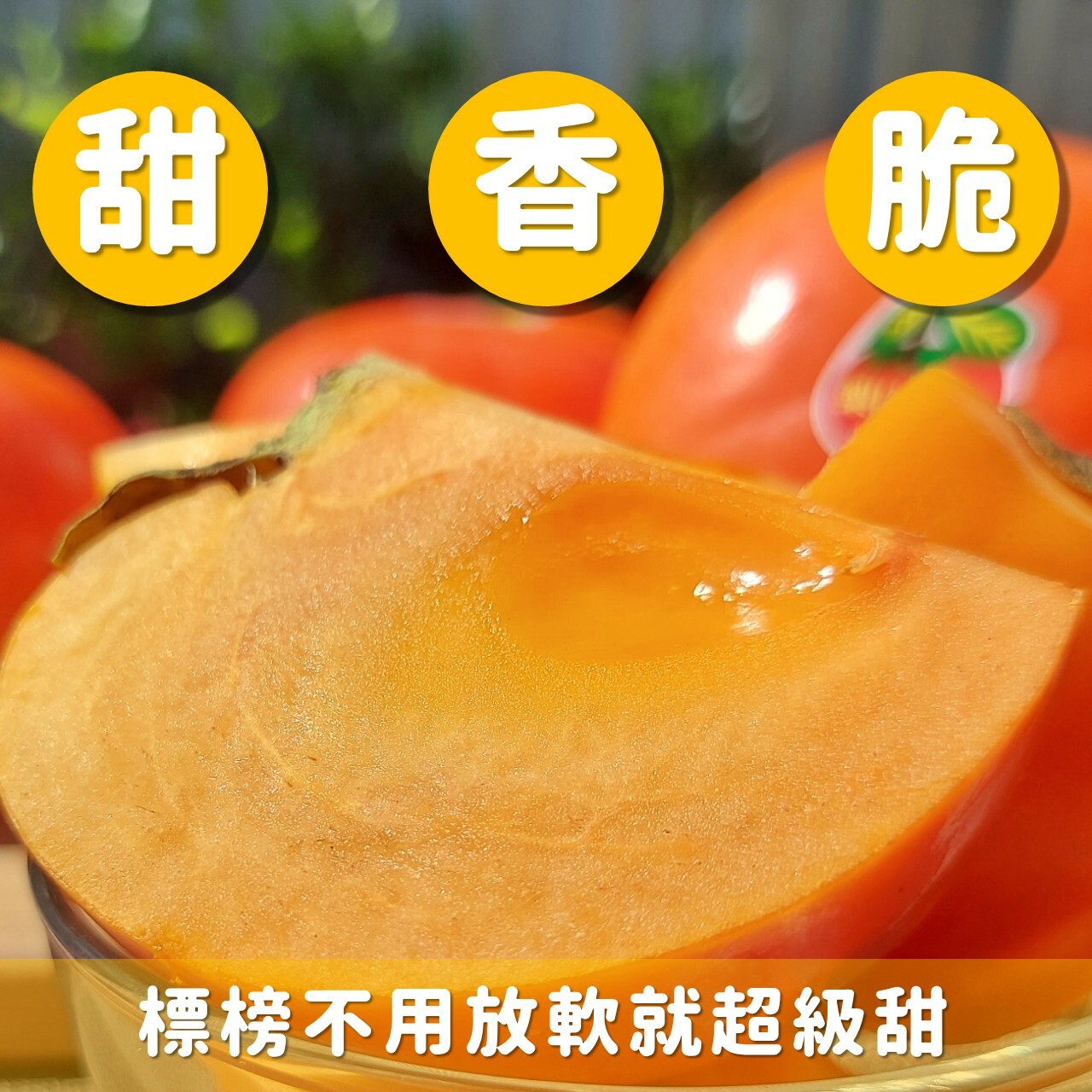 台灣梨山富有甜柿