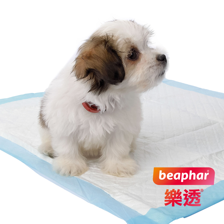 幼犬訓便液｜樂透 Beaphar