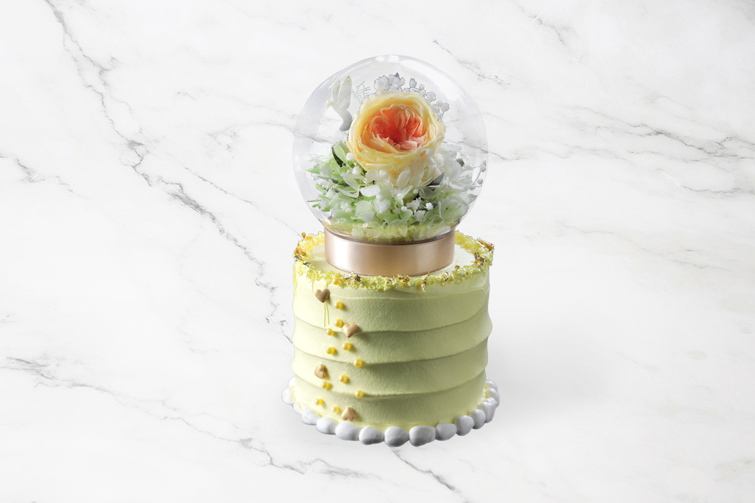 Sunshine & Smile PTW072