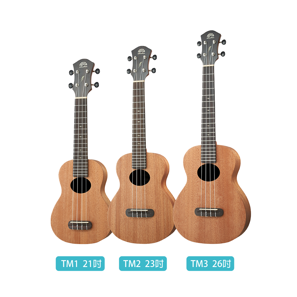 aNueNue aNueNue / 彩虹入門TM系列 面單烏克麗麗(桃花心木)(原聲款/插電款)(TM1E/TM2E/TM3E) 彩虹人官方認證 第 2 張圖片｜三峽烏克麗麗