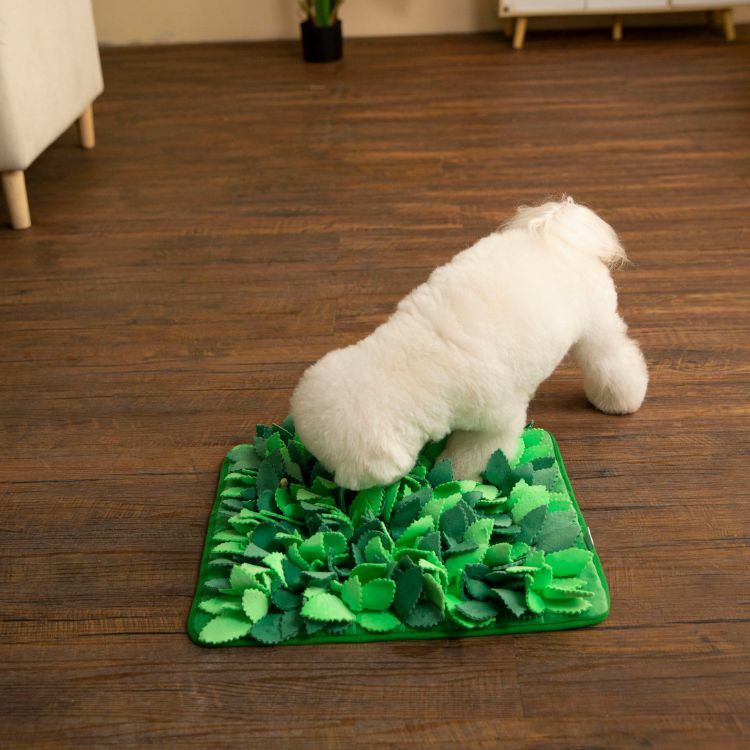 Puzzle Grass - 忘憂草藏寶嗅聞墊