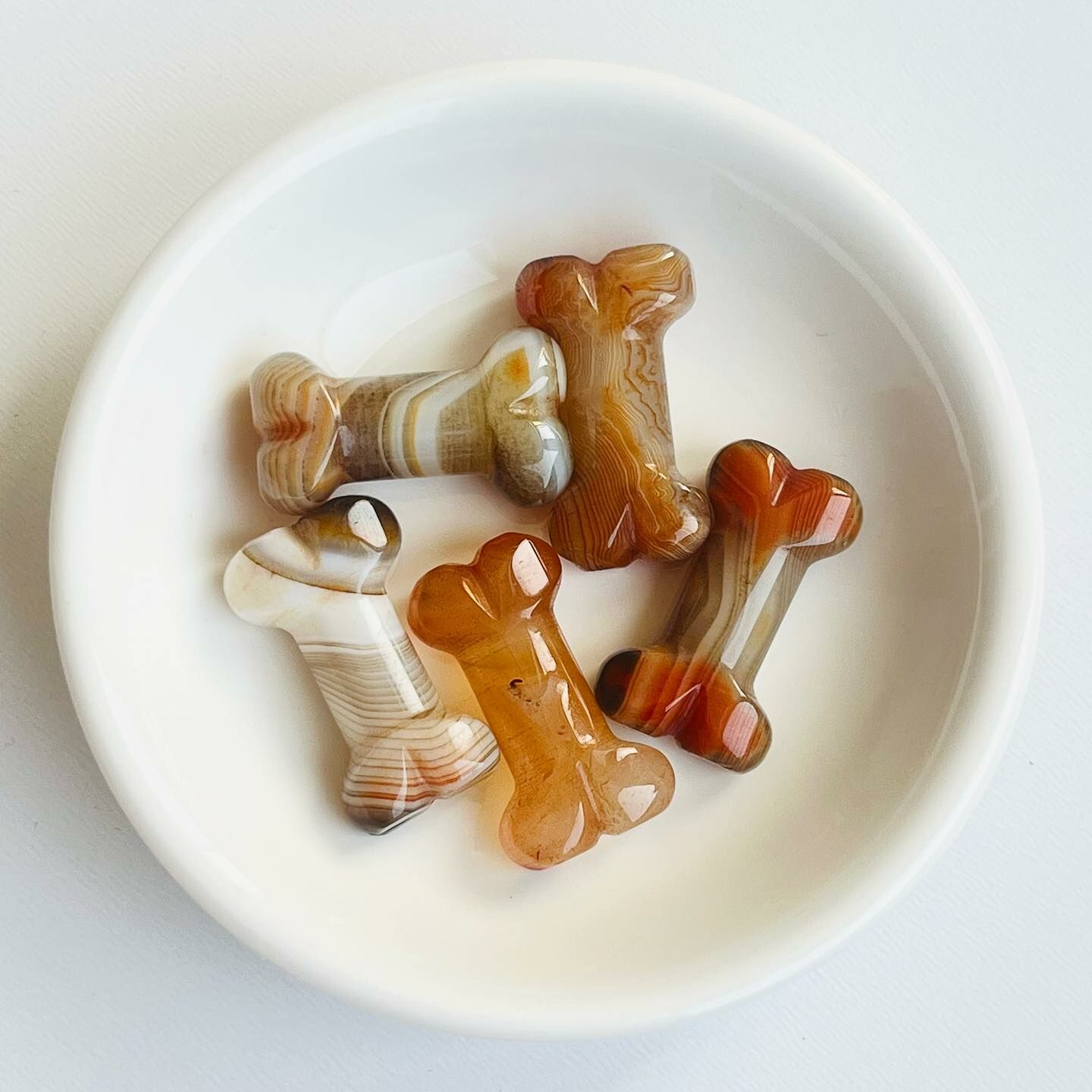 [原石] 波斯瓦那瑪瑙 狗骨頭