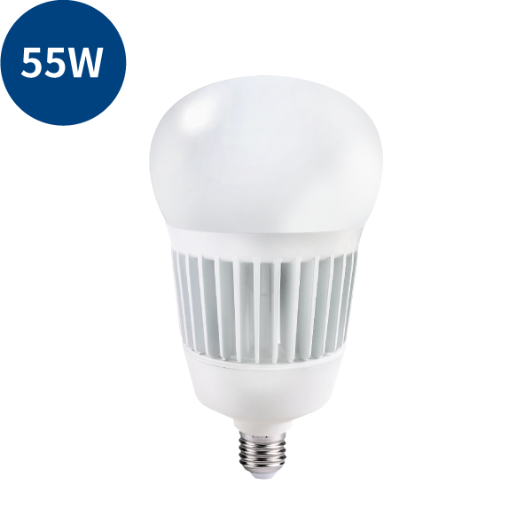 LED 防水大球泡燈 55W