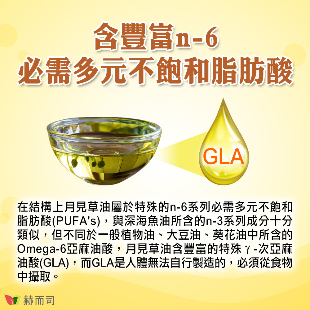 含豐富n-6必需多元不飽和脂肪酸！在結構上月見草油屬於特殊的n-6系列必需多元不飽和脂肪酸(PUFA's)，與深海魚油所含的n-3系列成分十分類似，但不同於一般植物油、大豆油、葵花油中所含的Omega-6亞麻油酸，月見草油含豐富的特殊γ-次亞麻油酸(GLA)，而GLA是人體無法自行製造的，必須從食物中攝取。