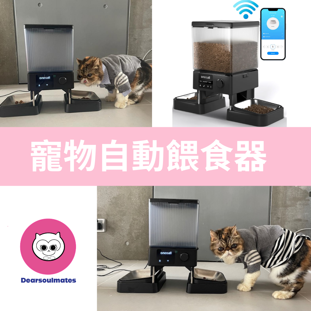 Oneisall – 寵物自動餵食器 - 雙碗版|全新寵物護理品牌 美國Oneisall - 寵物護理系列 美國品牌🇺🇸 | 香港行貨🇭🇰【10/19 截單，預計 :10月尾至11月中發貨】】