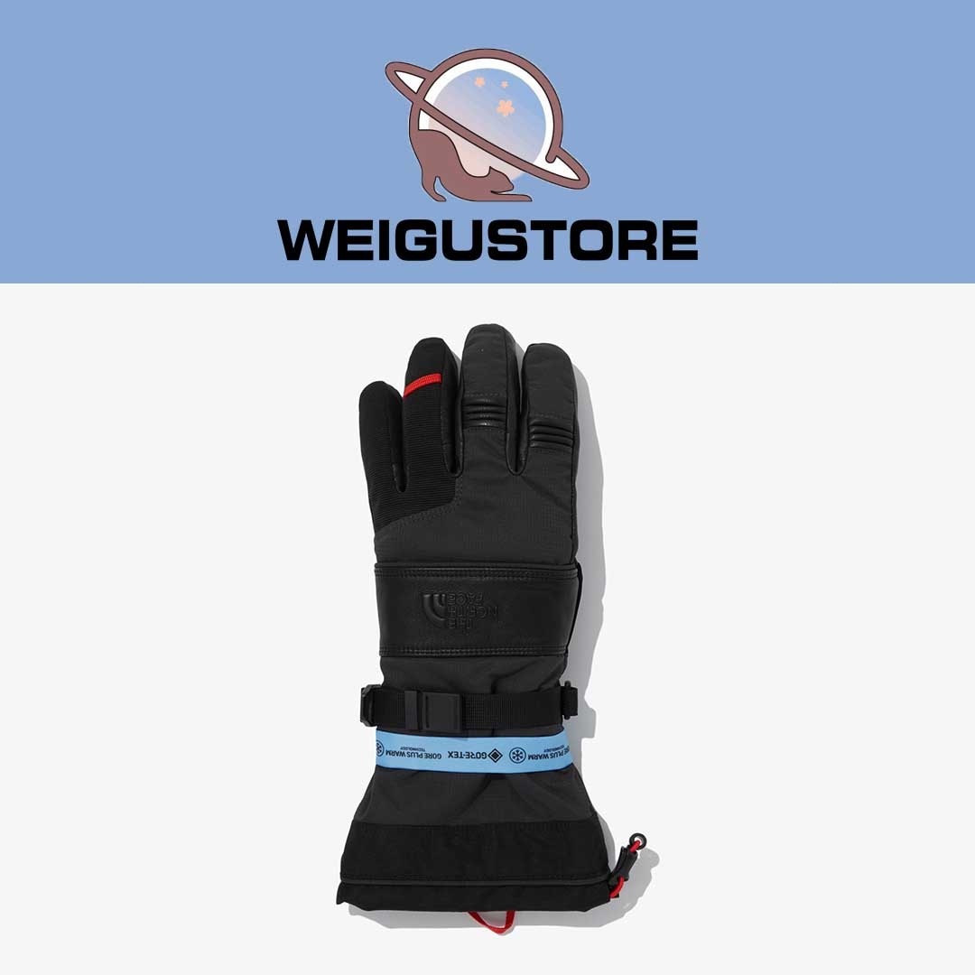 The North Face Montana Pro Lg GTX Glove 頂級防水手套 NJ3GP70A