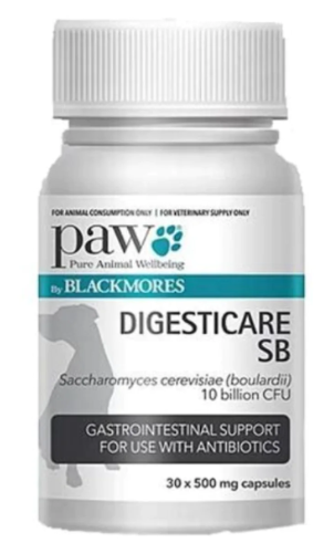 PAW 小型犬腸道護理 30粒裝