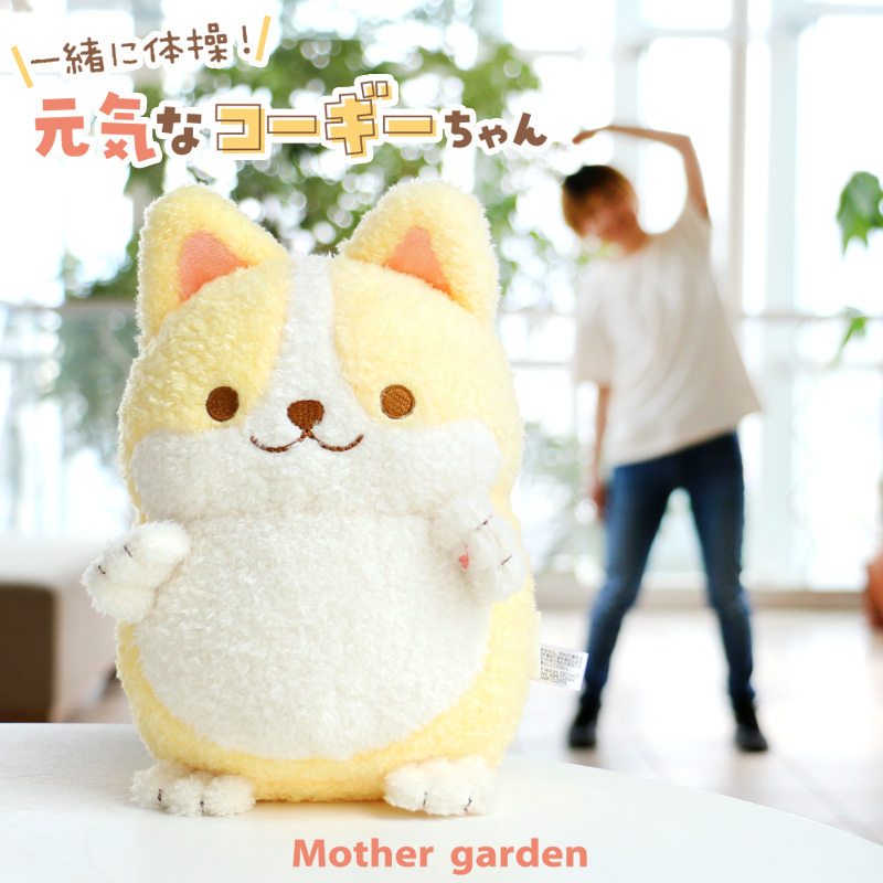 【日本Mother Garden】家家酒 一起做體操 柯基犬
