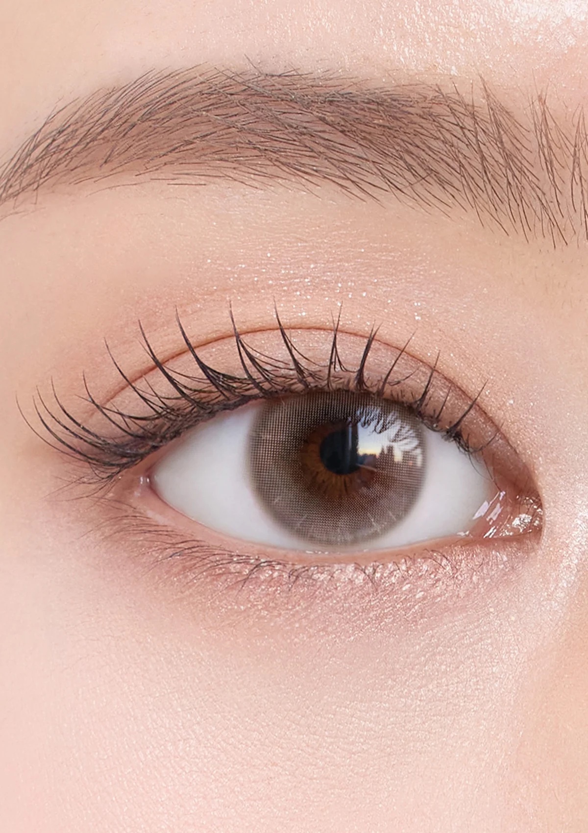 CHUU - Aube Pie 1 day (Moon Beige)(10片)