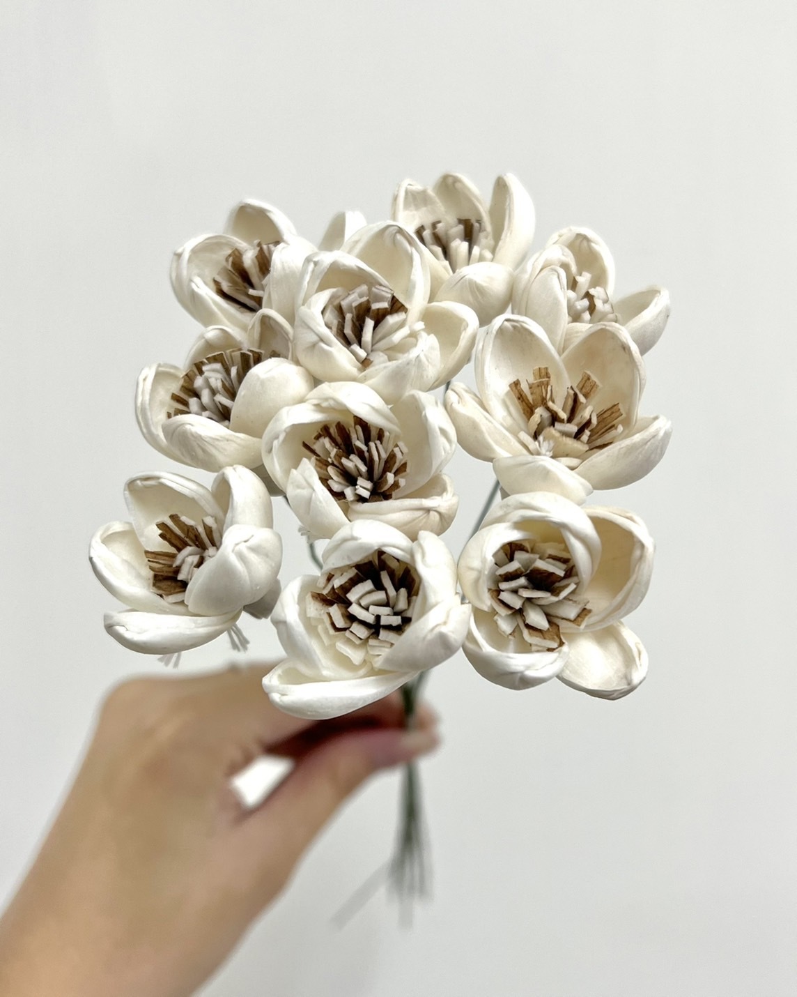 泰國索拉花 迷你蓮花(黑心) 3CM <十支一把> (高品質)