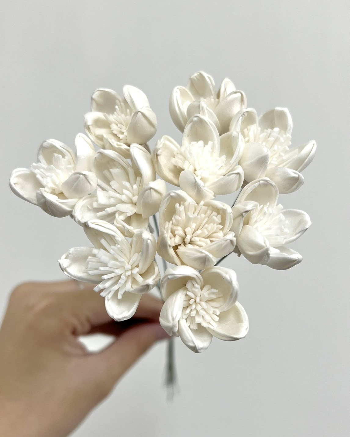 泰國索拉花 迷你蓮花(白心) 3CM <十支一把> (高品質)