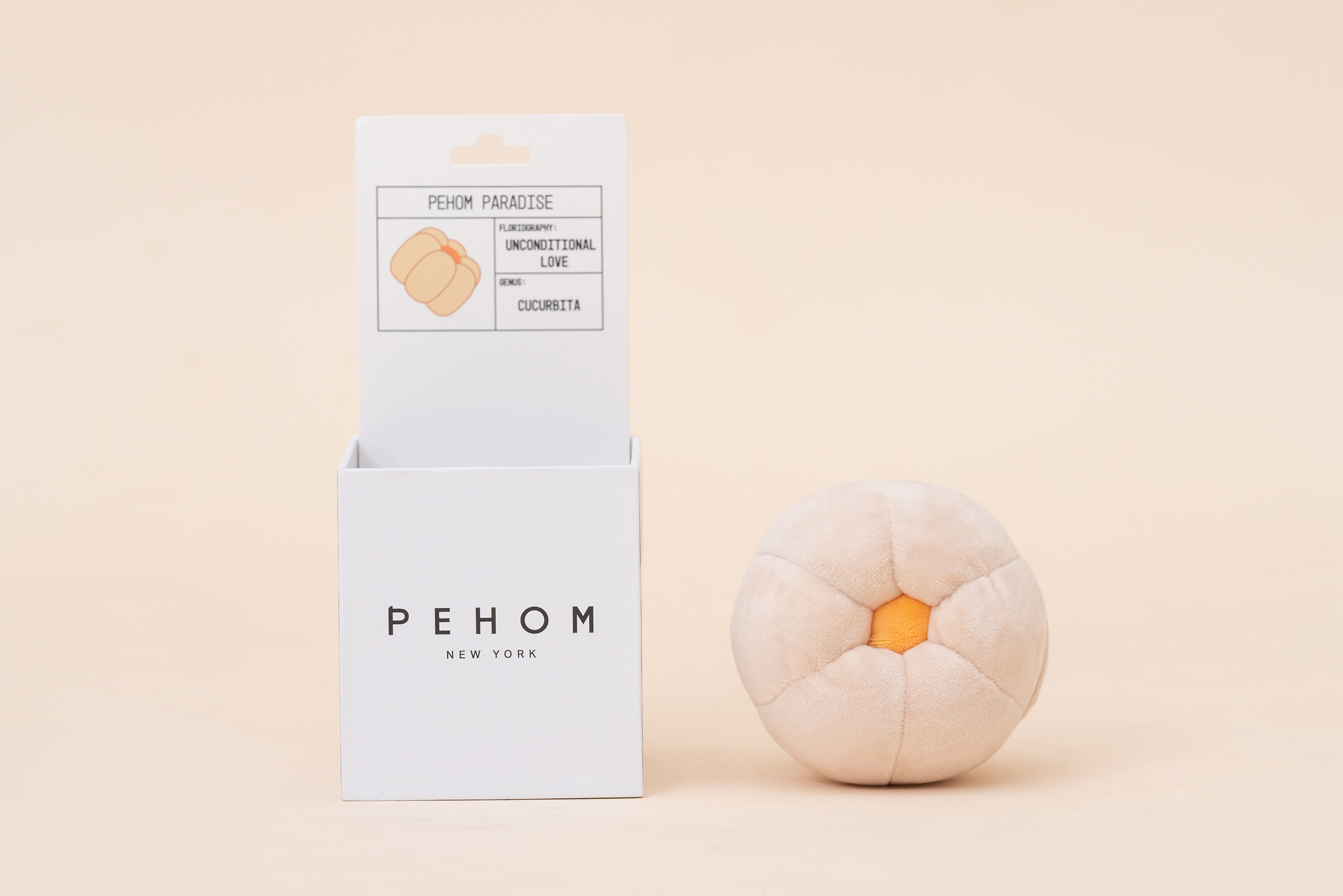 Pehom 花花星球南瓜藏食發聲寵物玩具