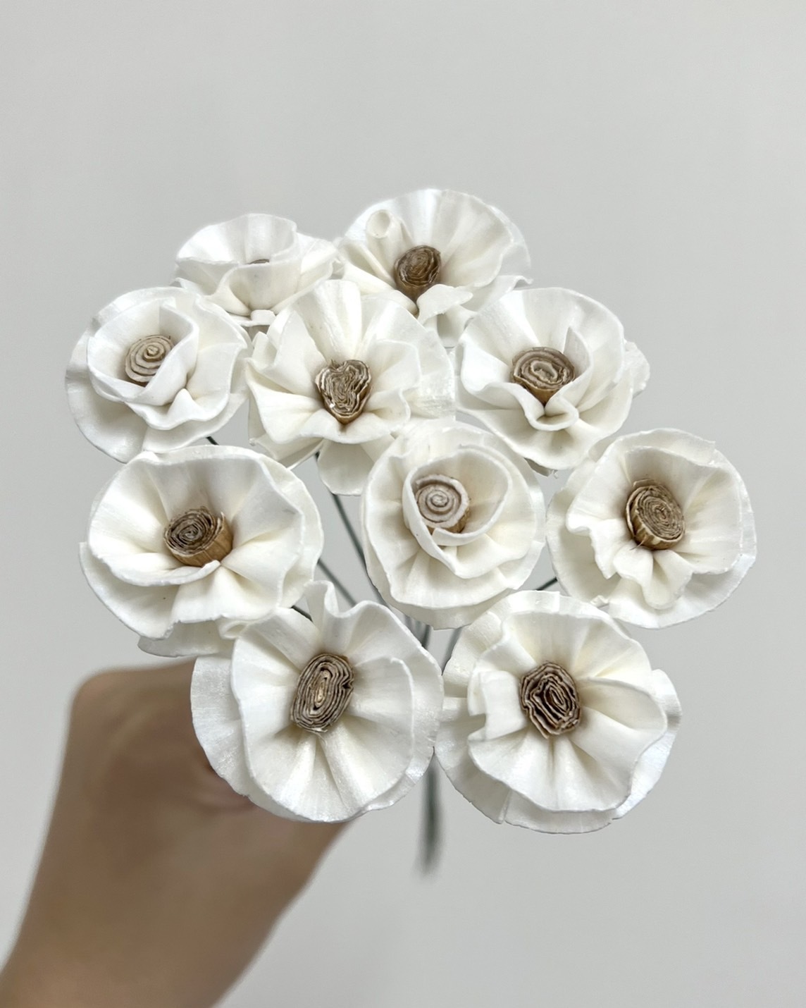 泰國索拉花 圓瓣山茶花 3CM <十支一把> (高品質)