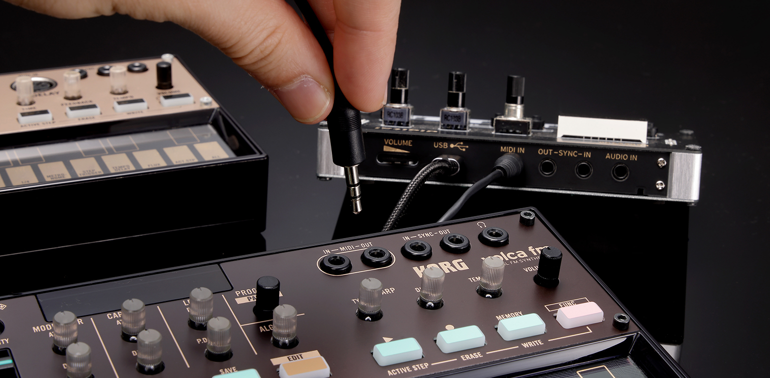 RCAFLATYMODP.DPROGPAALGSAVEEDITVOLUMEUSBMIDI IN SYNCINAUDIO ININ MIDIOUTINSYNC-OUTARP  L FM TEMVOLIMEMORYFUNCACTIVE STEPERASEWRITE