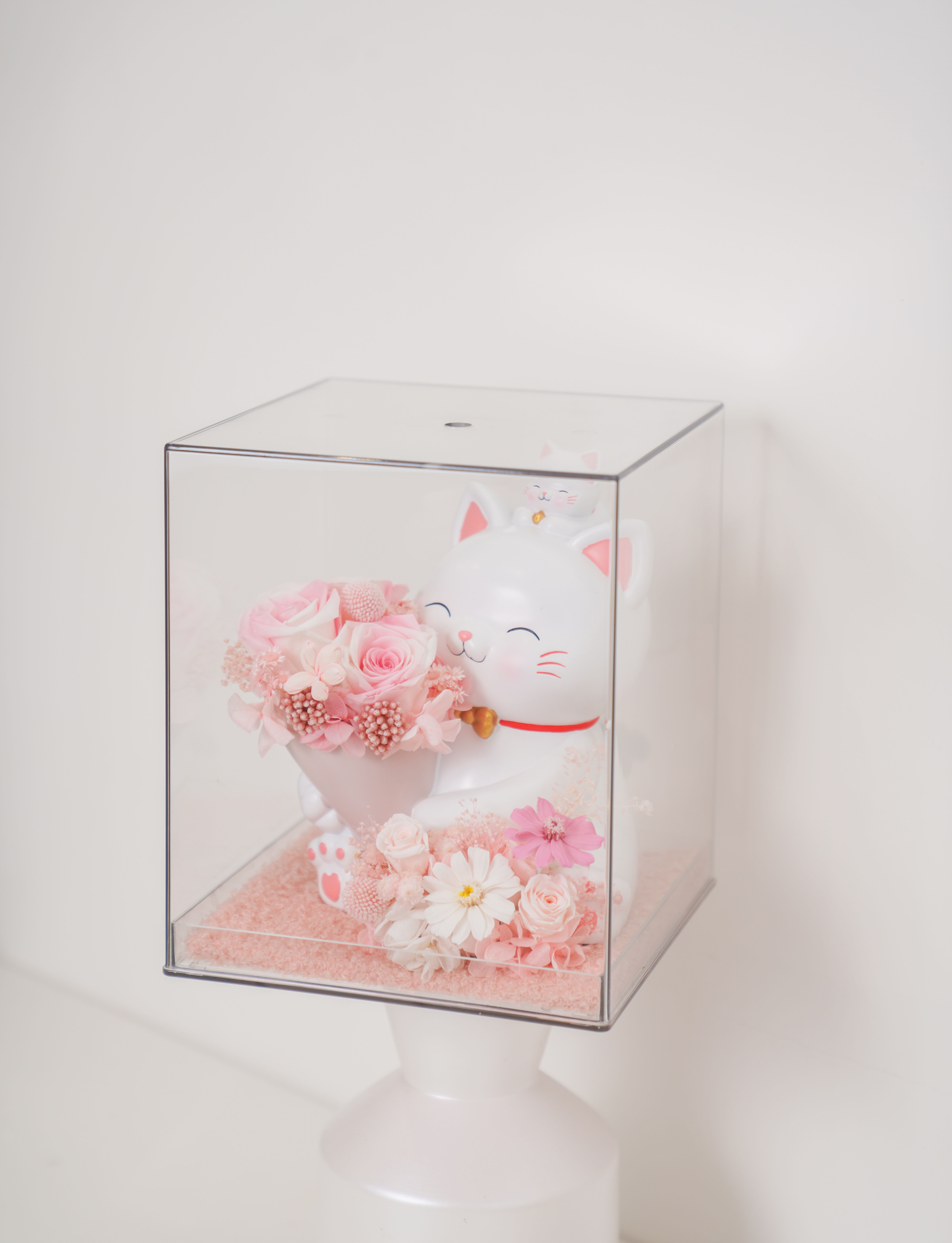 招財喵～你的永生花束