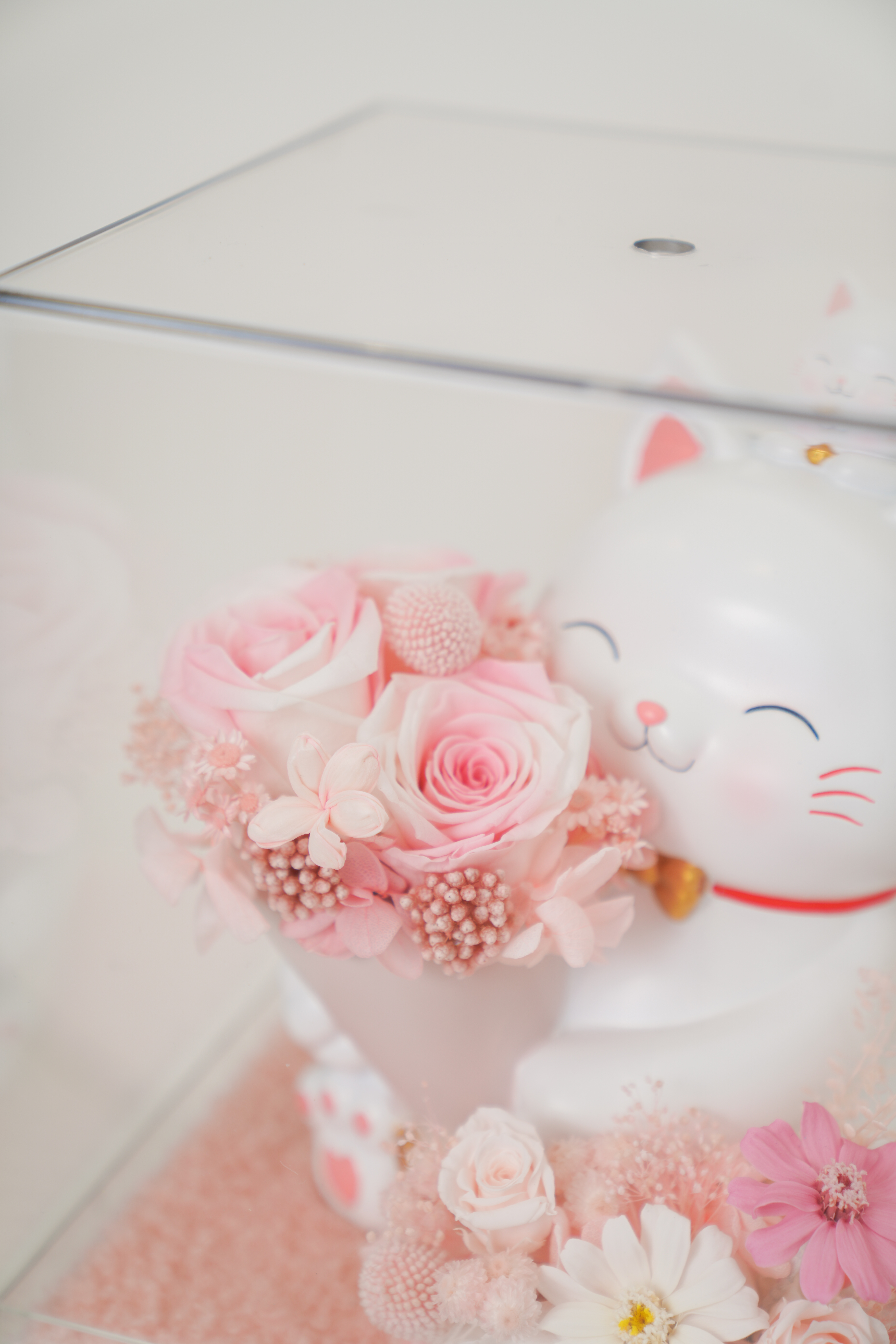 招財喵～你的永生花束