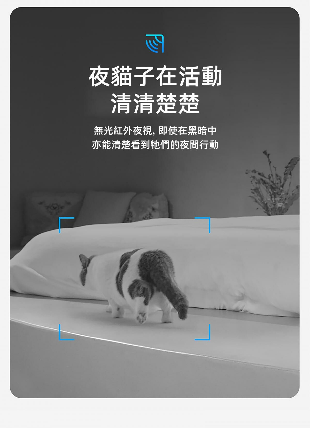 PETKIT Yumshare SOLO智能餵食器 (鏡頭版 / 實時影像)