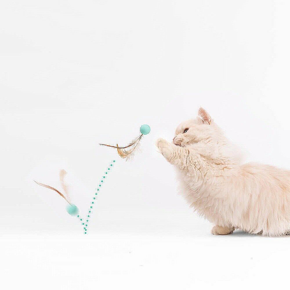 pidan 彈跳球玩具(三入)