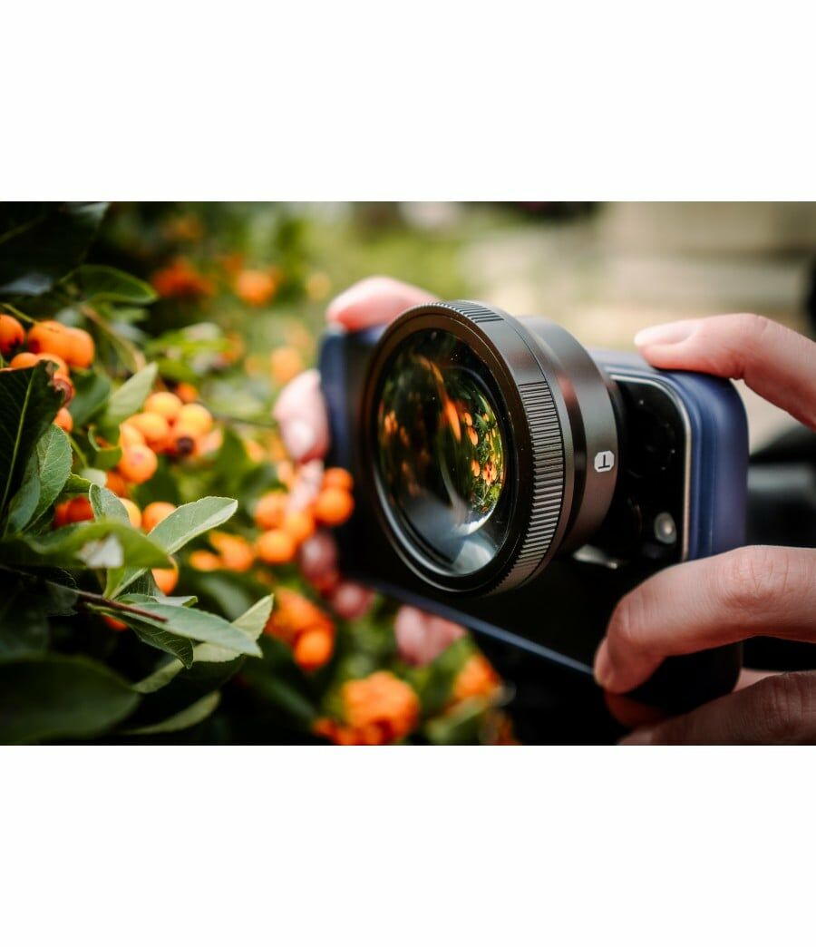 Freewell Sherpa 鏡頭專業套裝