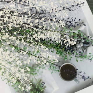 永生迷你翠扇【小束裝 / 5克裝】