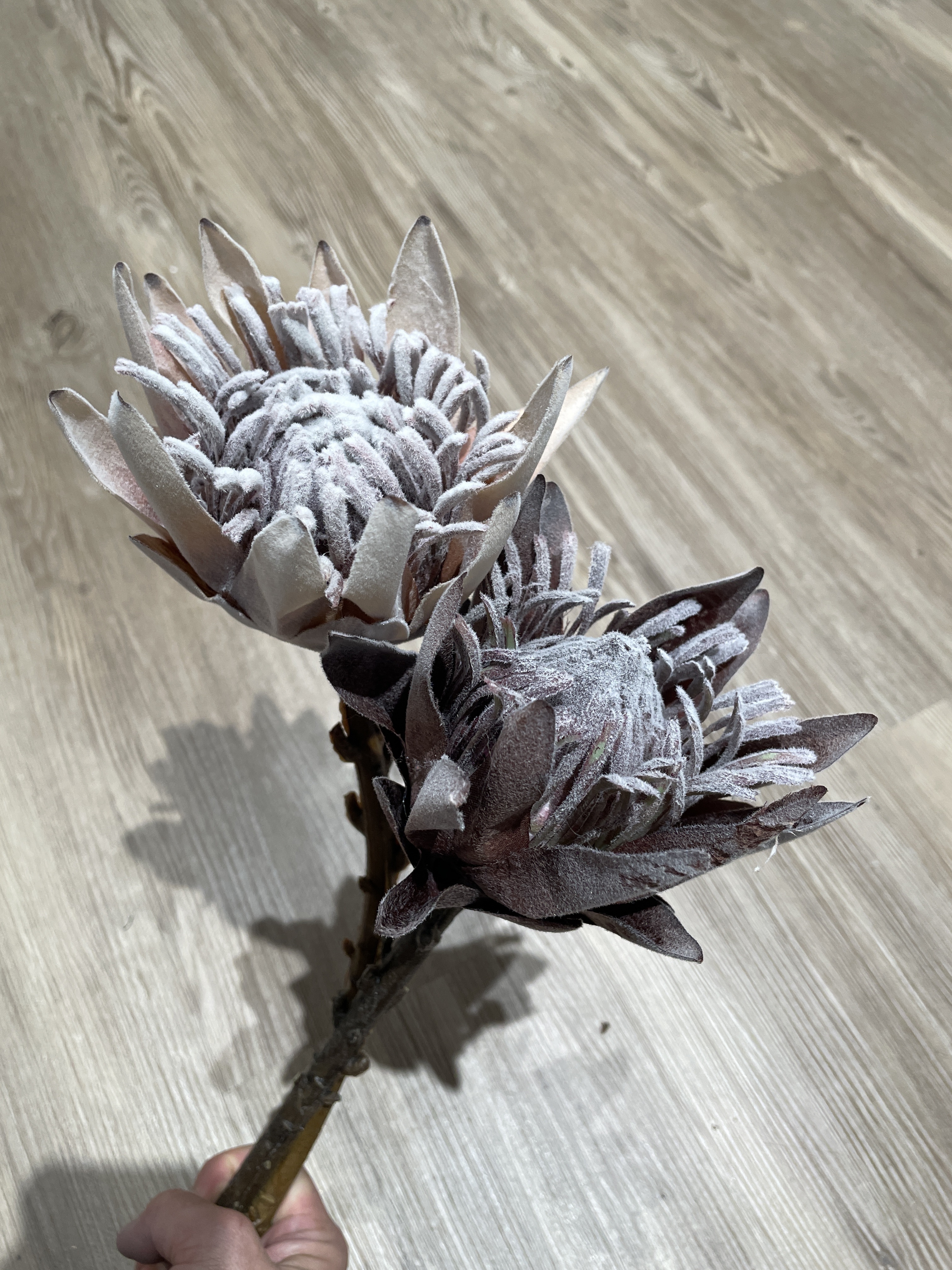 仿真復古小帝王花