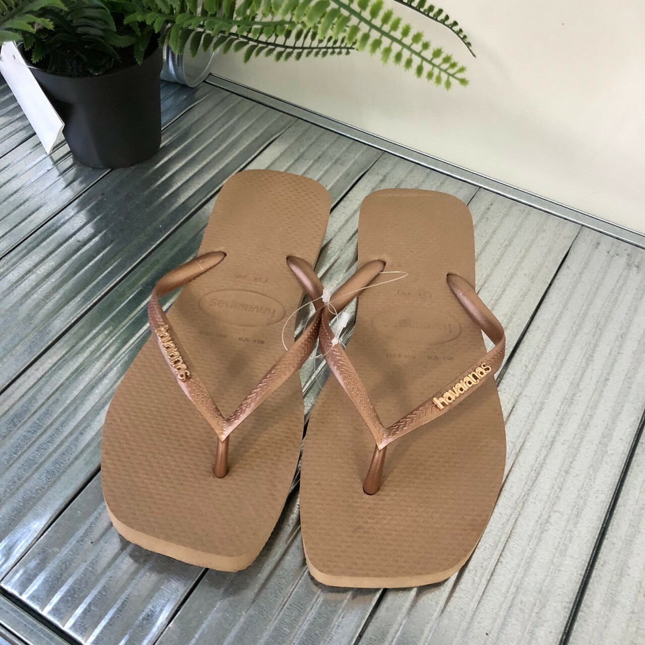 Havaianas 哈瓦仕 Slim Square Logo Metallic 拖鞋 夾腳拖 方頭 沙色 女款 4148257-5282W
