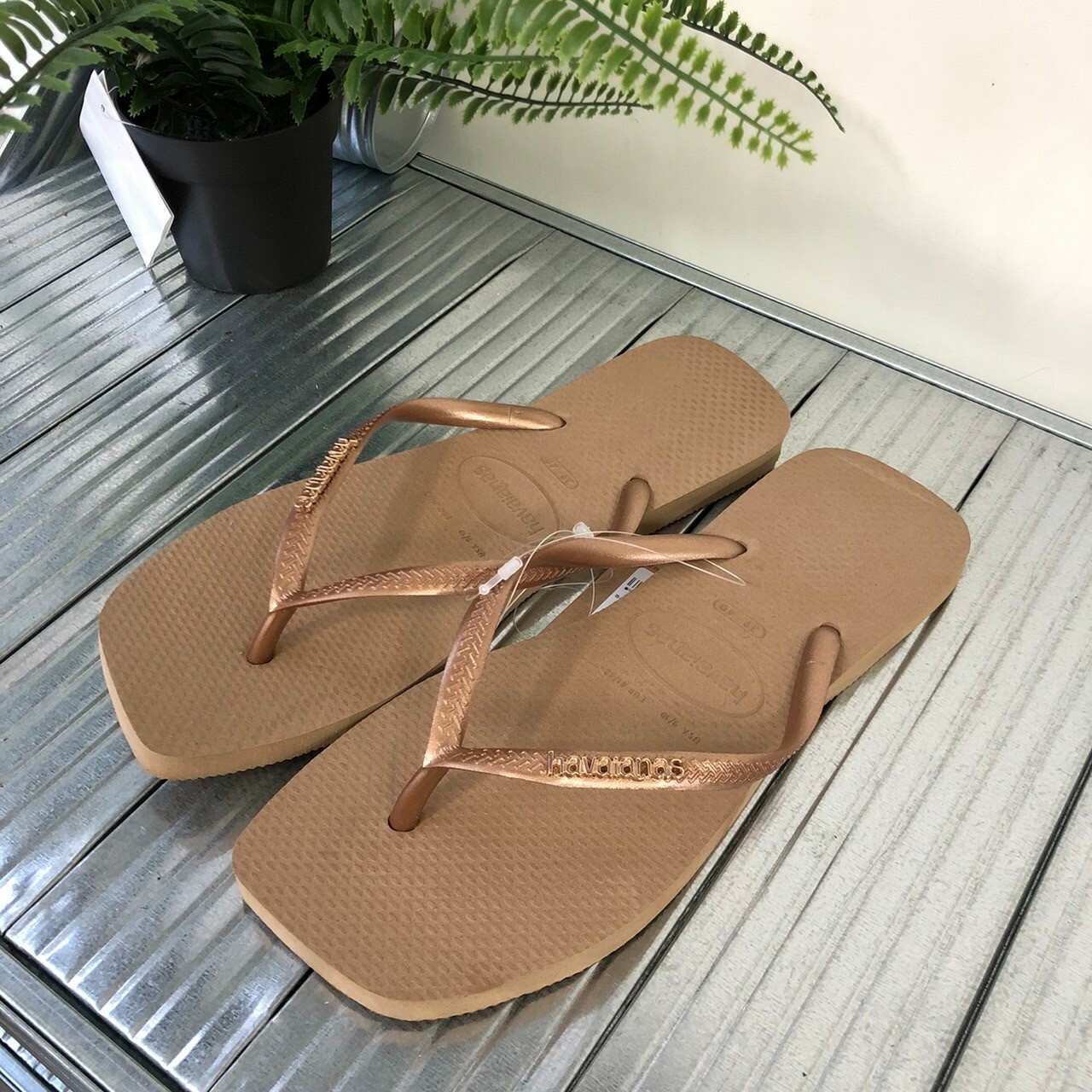 Havaianas 哈瓦仕 Slim Square Logo Metallic 拖鞋 夾腳拖 方頭 沙色 女款 4148257-5282W