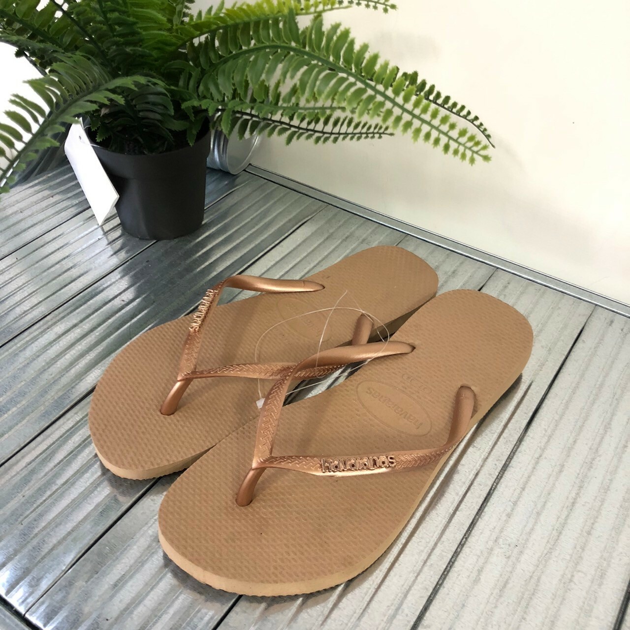 Havaianas 哈瓦仕 Slim Logo Metallic 拖鞋 夾腳拖 素面 沙色 女款 4119875-3581W