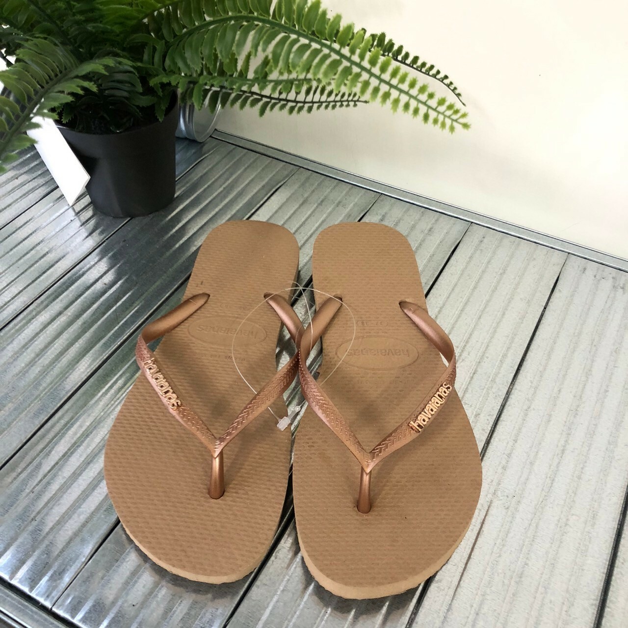 Havaianas 哈瓦仕 Slim Logo Metallic 拖鞋 夾腳拖 素面 沙色 女款 4119875-3581W
