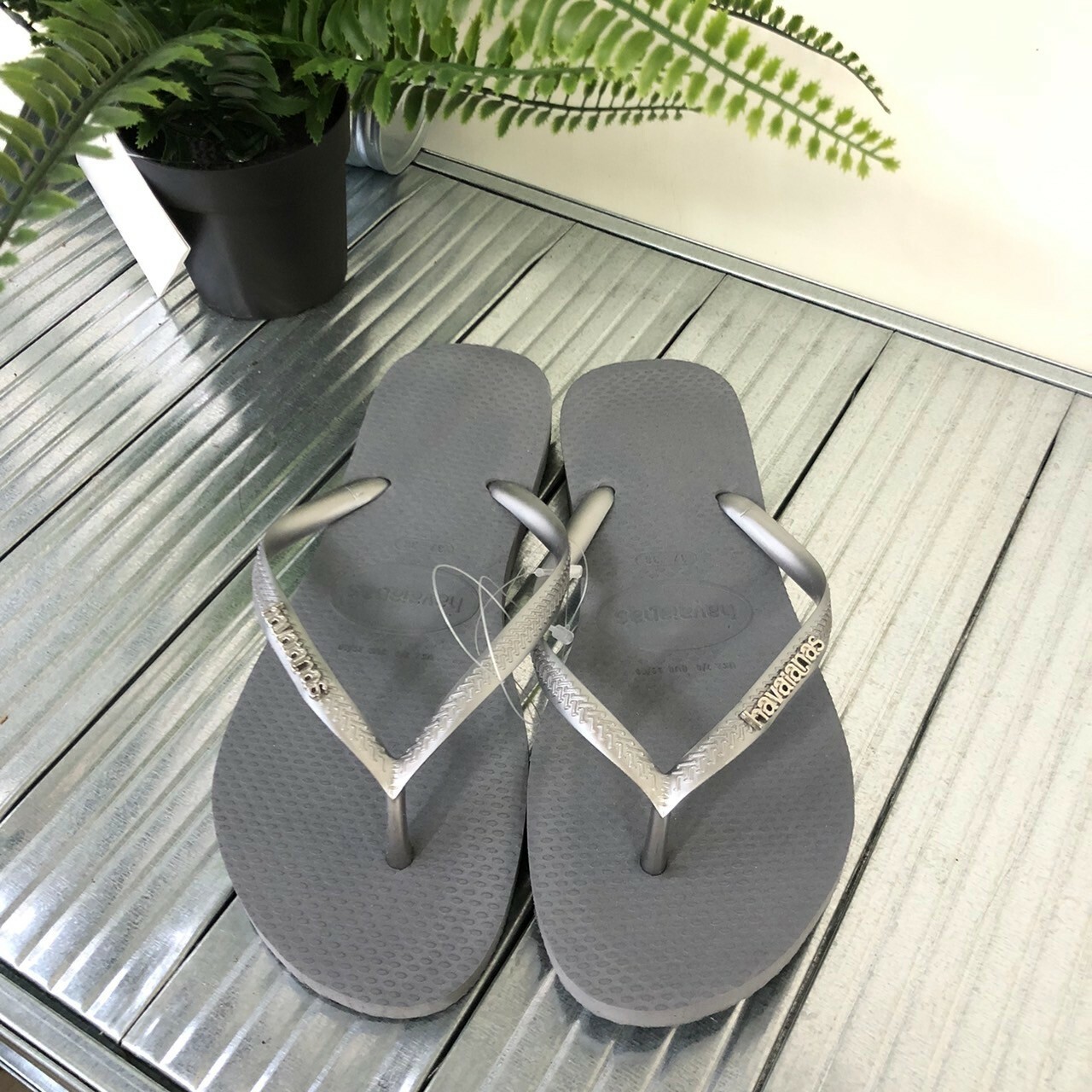 Havaianas 哈瓦仕 Slim Logo Metallic 拖鞋 夾腳拖 素面 灰銀色 女款 4119875-5178W