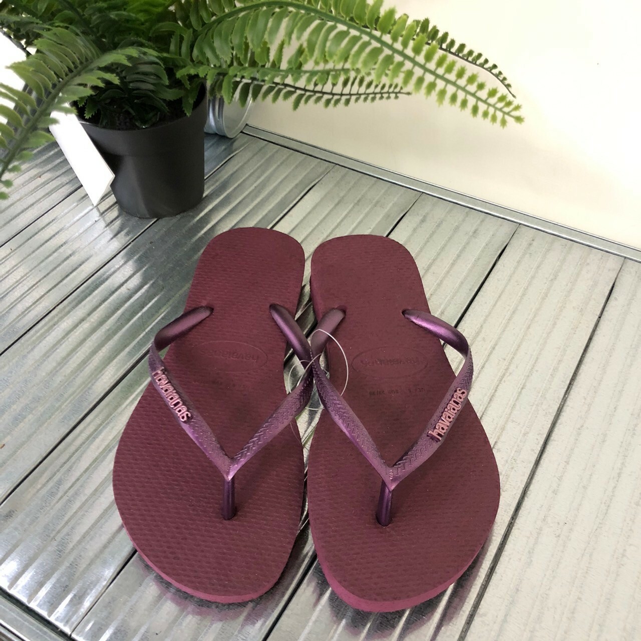 Havaianas 哈瓦仕 Slim Logo Metallic 拖鞋 夾腳拖 素面 紫色 女款 4119875-5143W