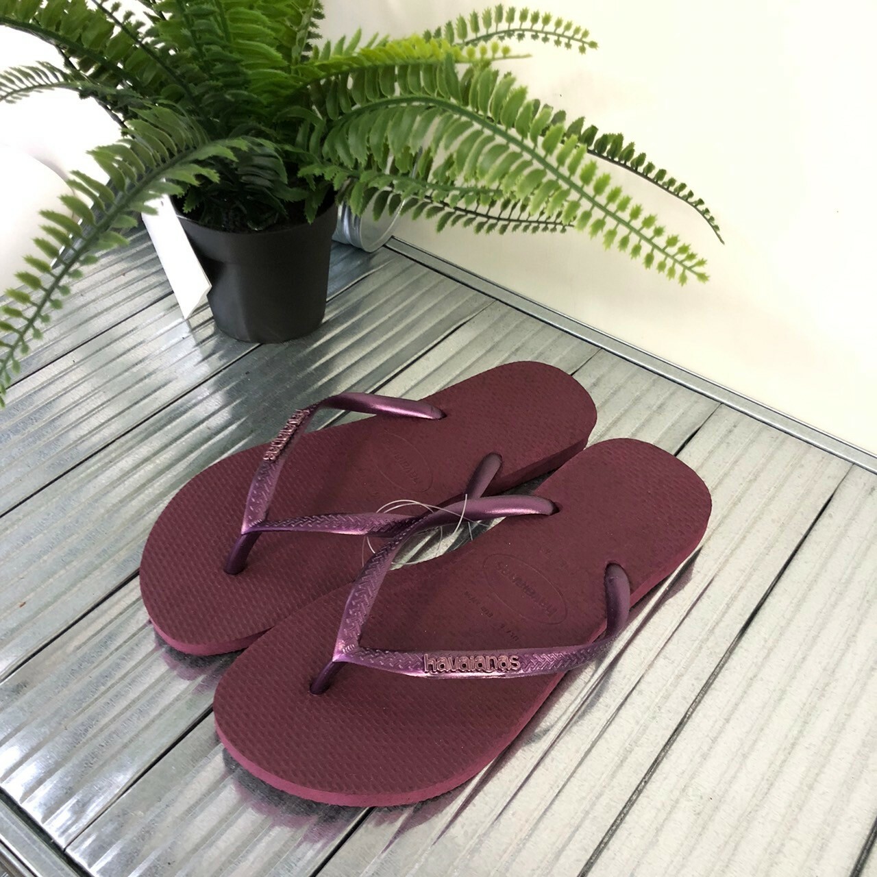 Havaianas 哈瓦仕 Slim Logo Metallic 拖鞋 夾腳拖 素面 紫色 女款 4119875-5143W
