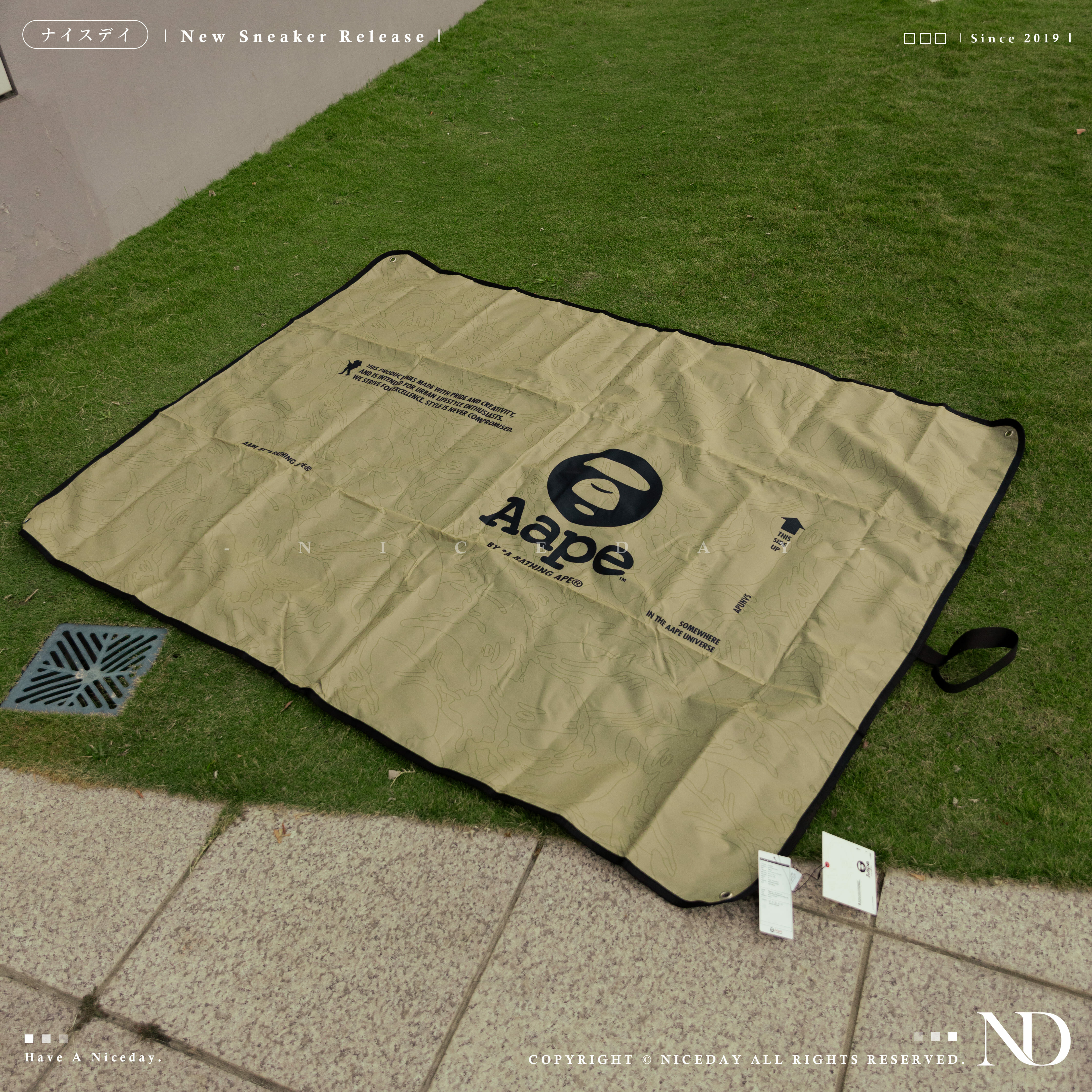 NICEDAY 配件 現貨 Aape 猿人 摺疊收納 野餐墊 戶外 多功能墊 地墊 露營墊 帳篷墊 遊戲墊