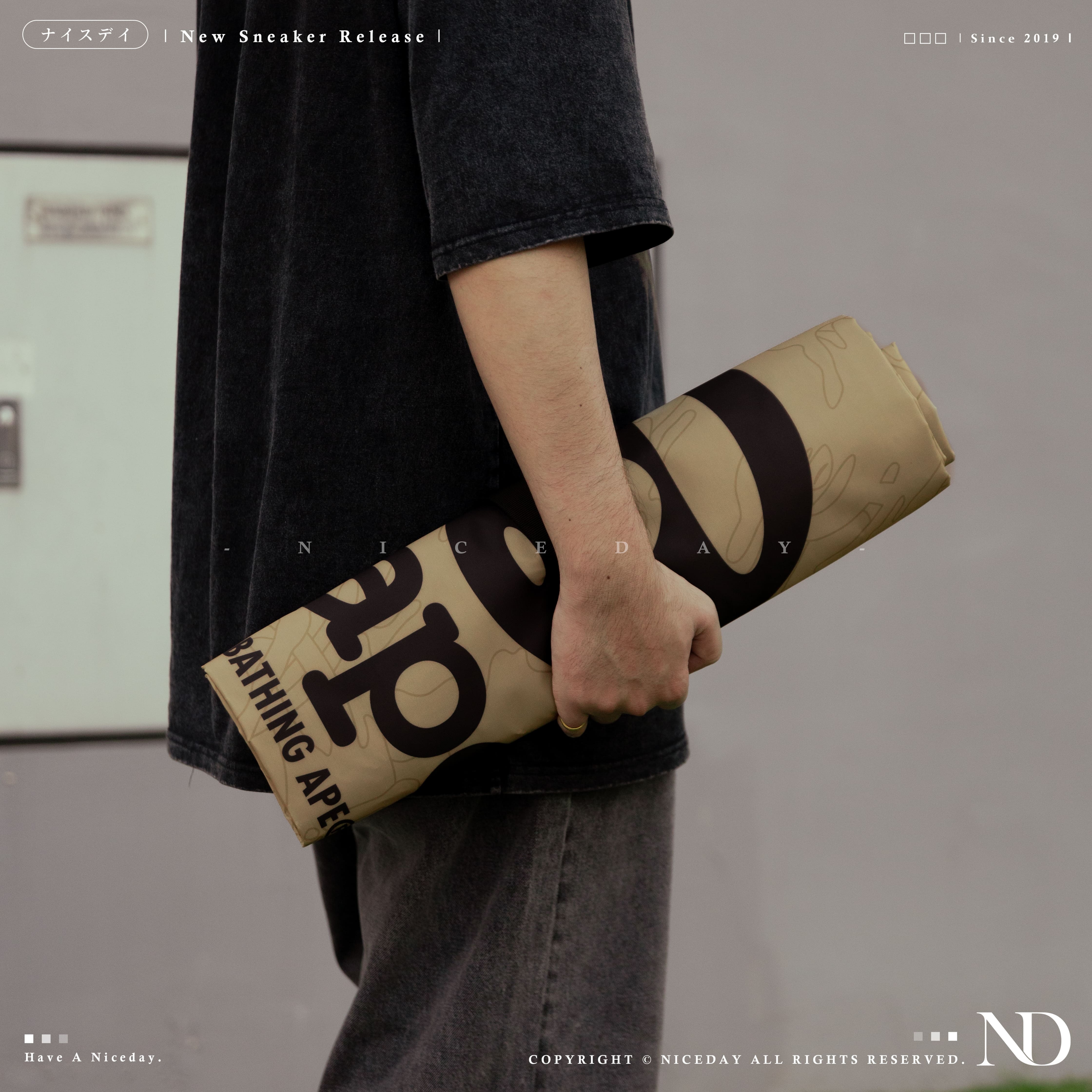 NICEDAY 配件 現貨 Aape 猿人 摺疊收納 野餐墊 戶外 多功能墊 地墊 露營墊 帳篷墊 遊戲墊