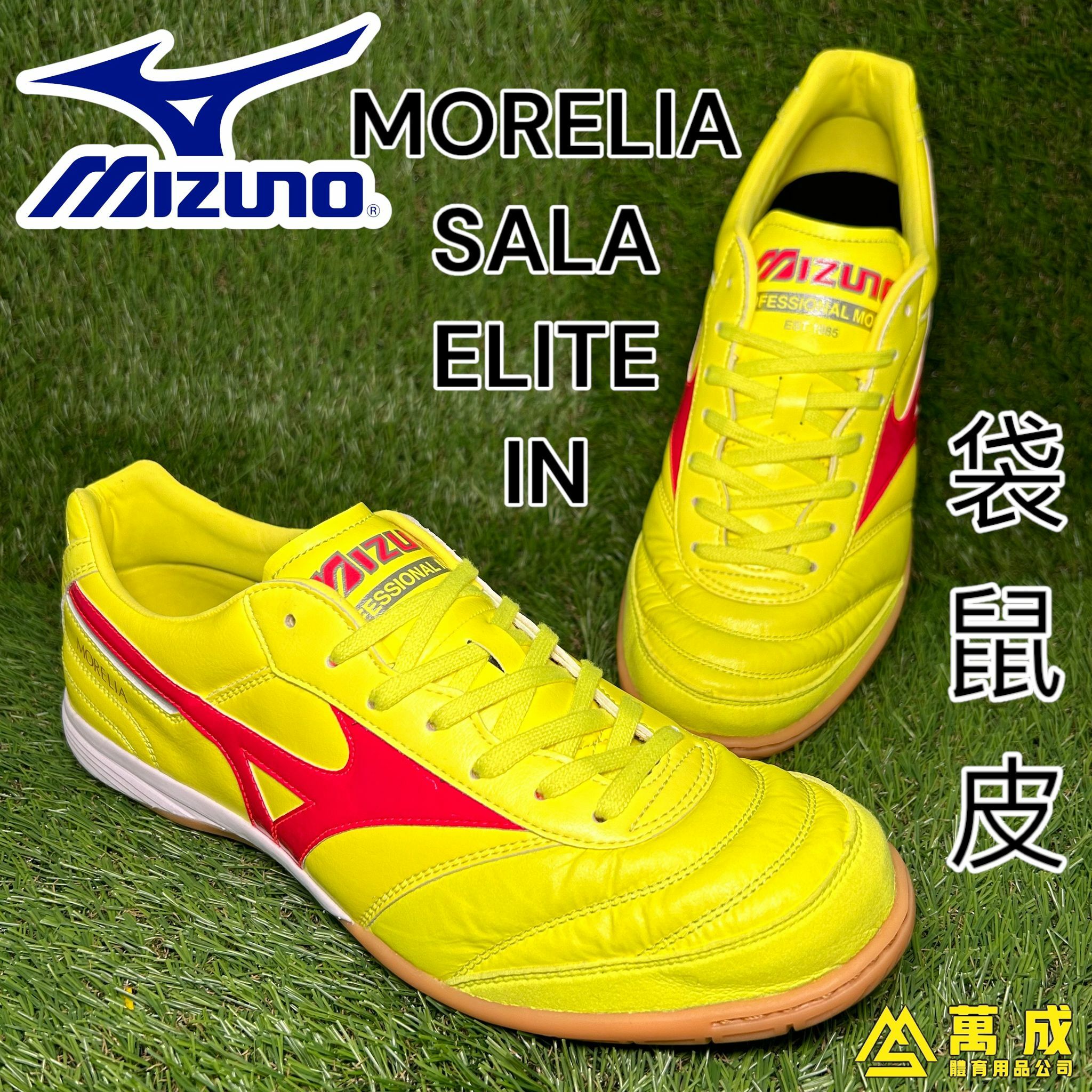 MIZUNO 越南製 袋鼠皮 MORELIA SALA ELITE IN M371