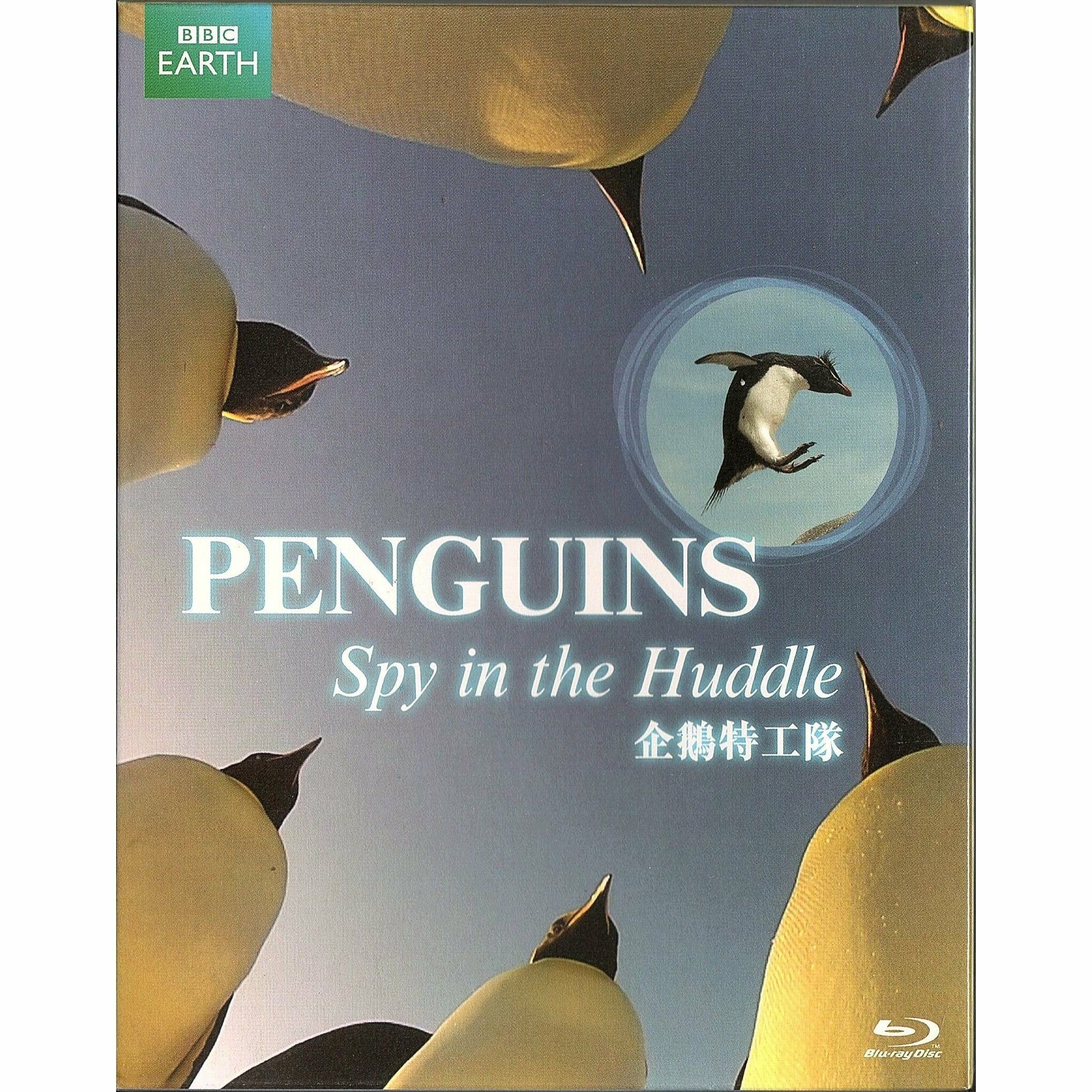 企鵝特工隊 (2013) (Blu-ray) [訂貨]