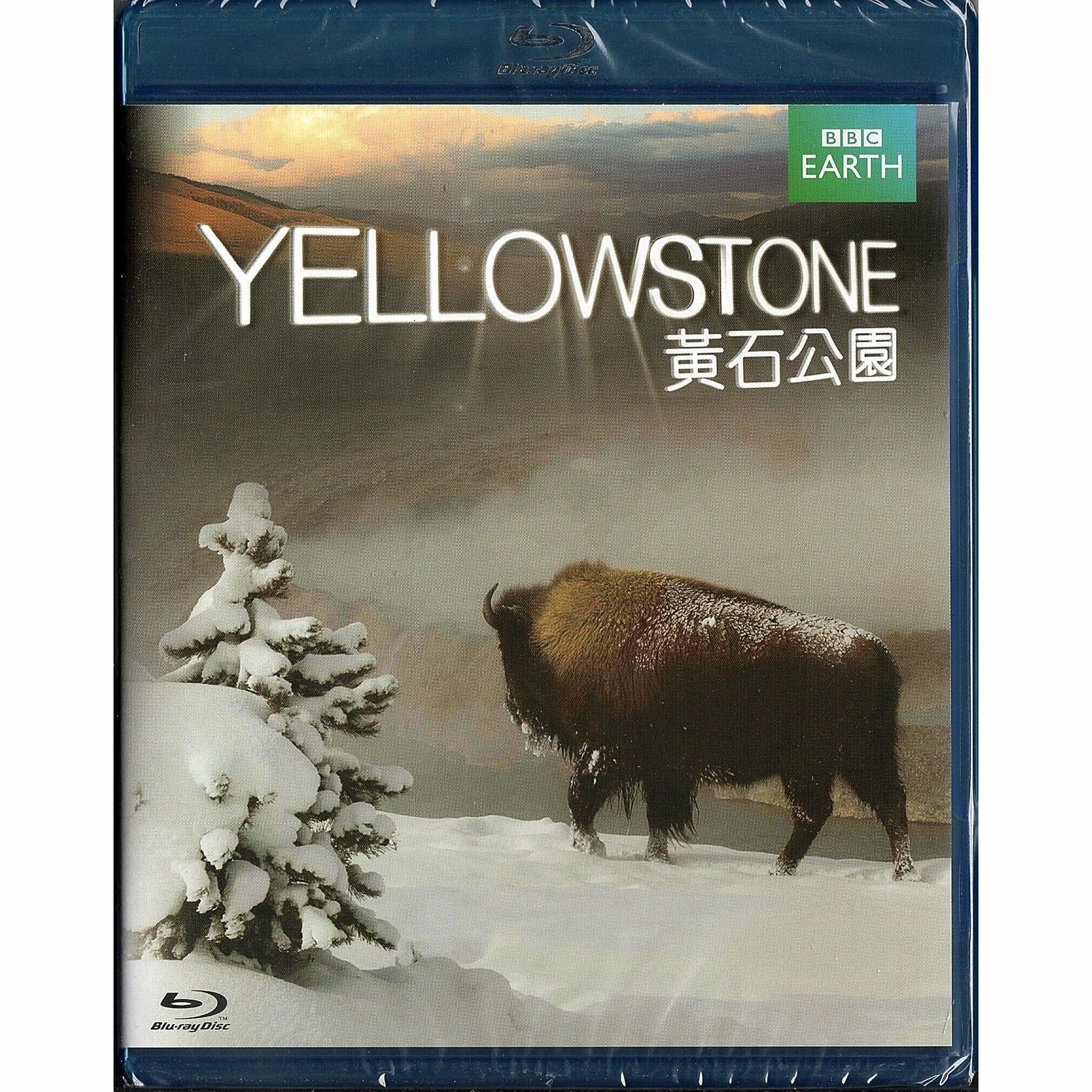 黃石公園 (Blu-ray) [訂貨]