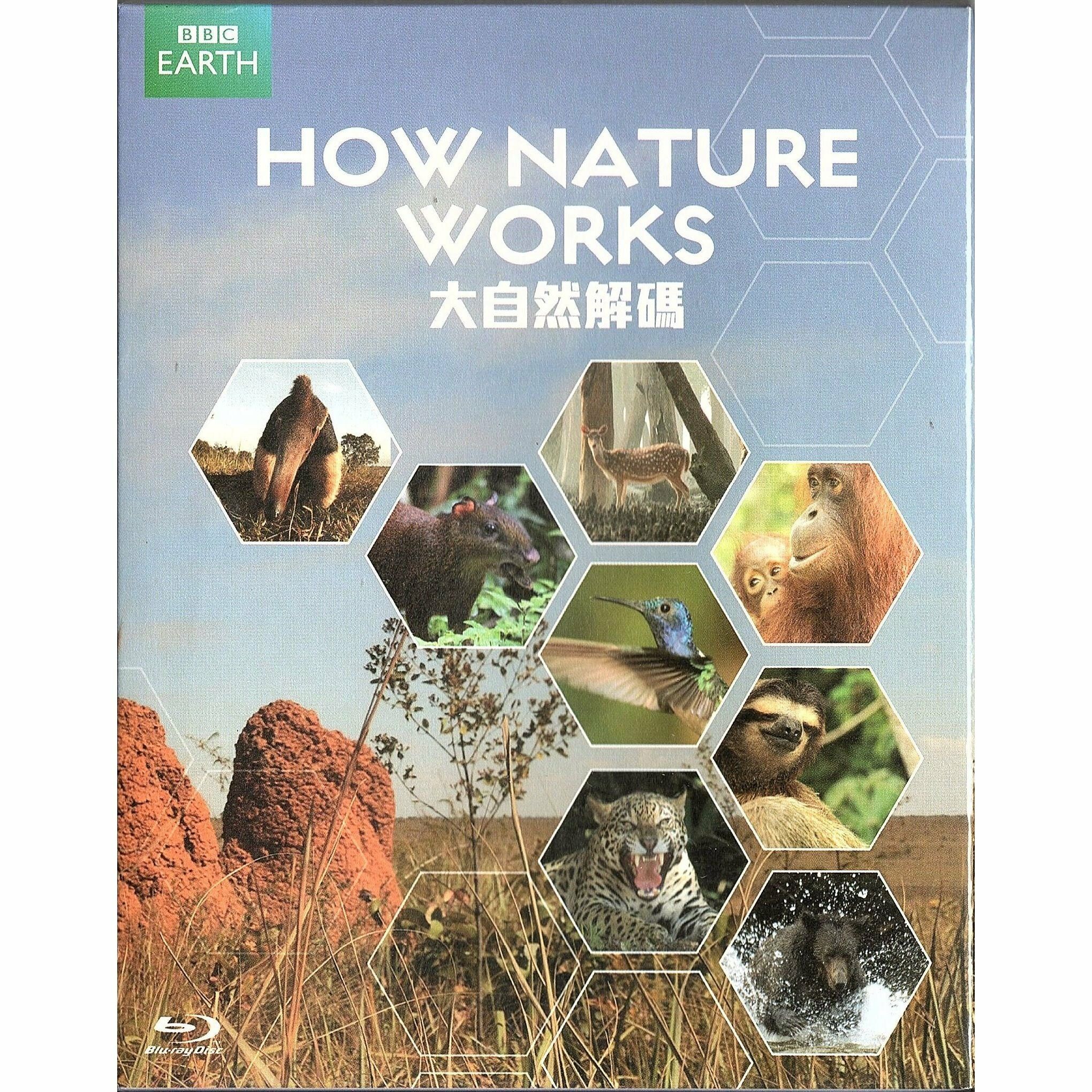 大自然解碼 (Blu-ray) [訂貨]