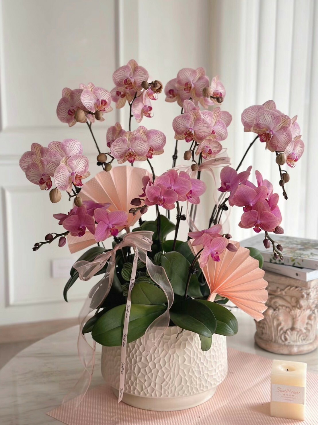 桃 新年蘭花盆景