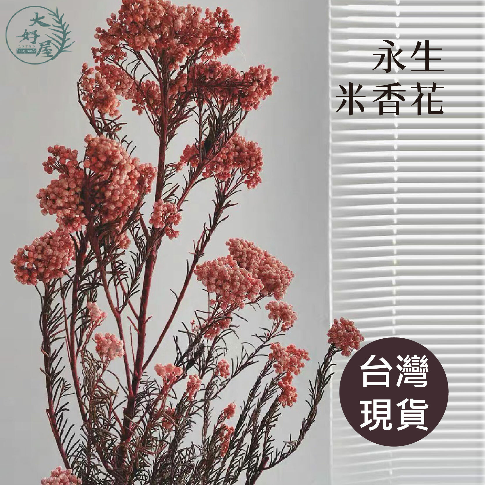永生米香花【大】