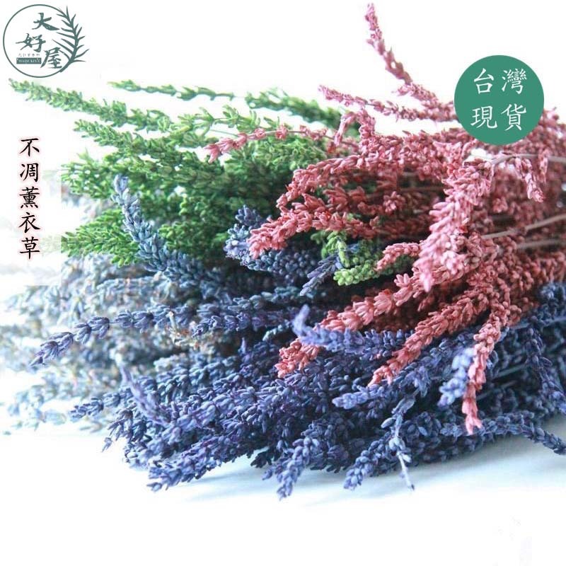 乾燥/永生 薰衣草【大束裝】