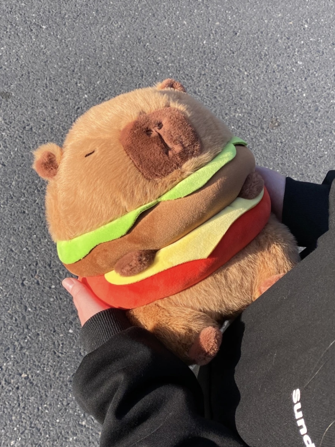 <快速出貨> 卡皮巴拉 水豚玩偶 漢堡包🍔