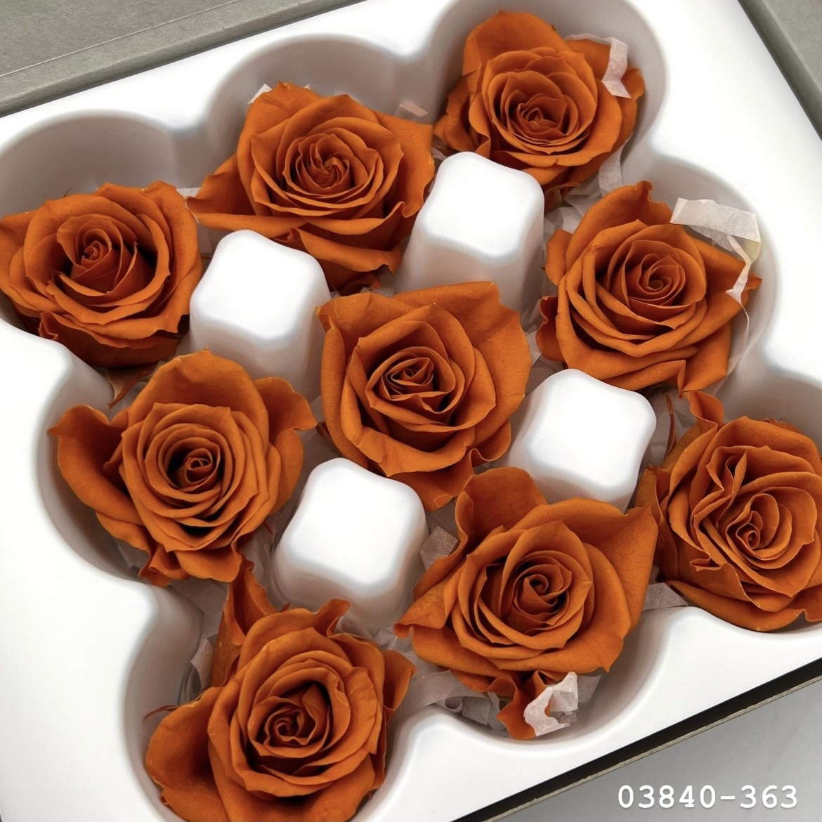 不凋小輪玫瑰(9朵) 03840-363