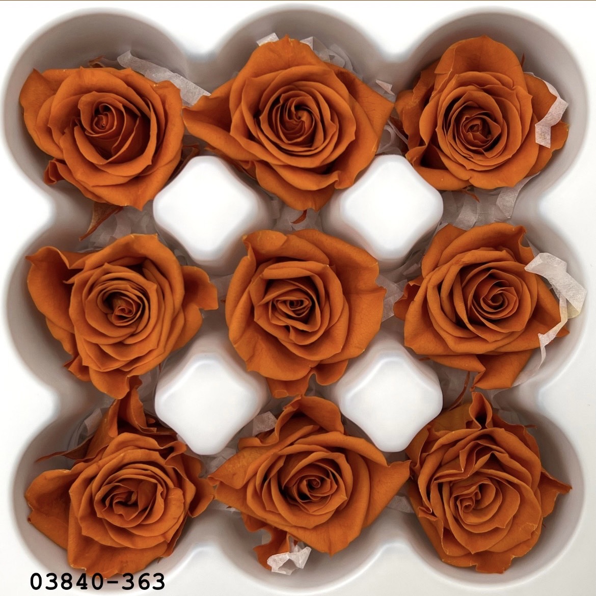 不凋小輪玫瑰(9朵) 03840-363