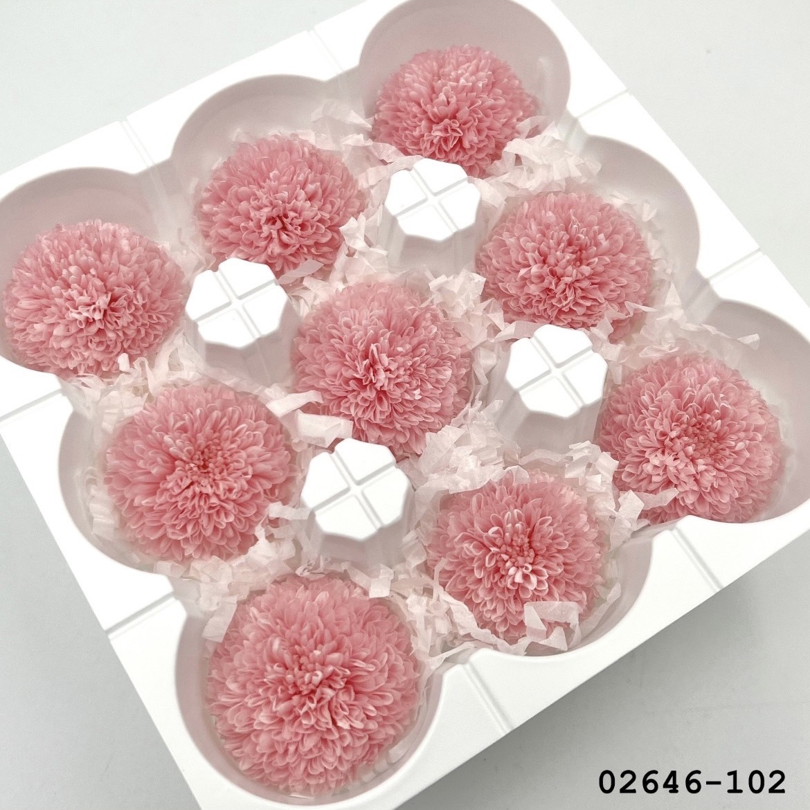 不凋乒乓菊(9朵) 02646-102